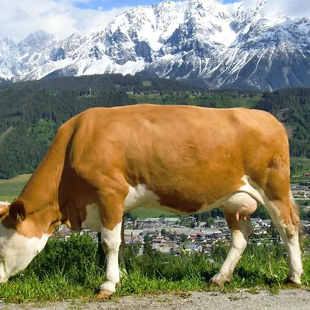 Spreitzhof - Daire