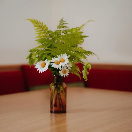 Apartment Spreitzhof - Schladming