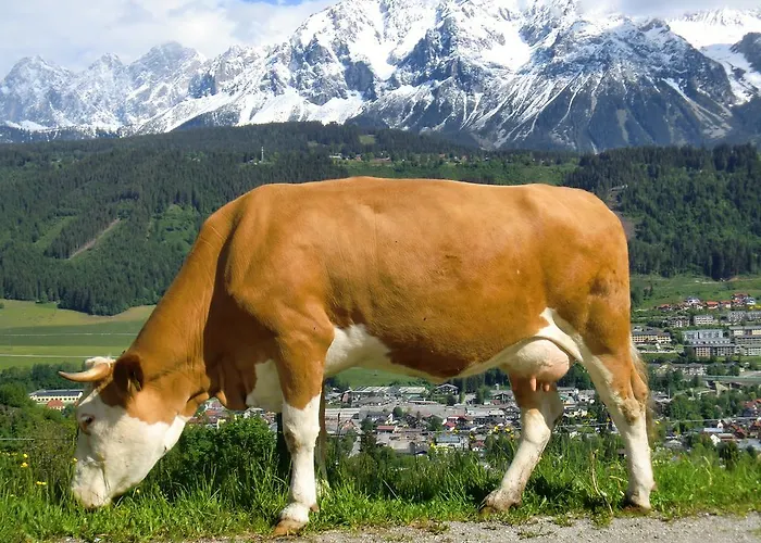 Spreitzhof - Апартаменти