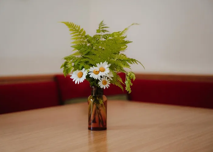 Apartment Spreitzhof - Schladming